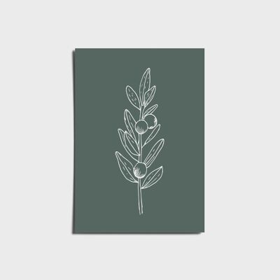 Minimal Olive Green Olive Branch Poster a3