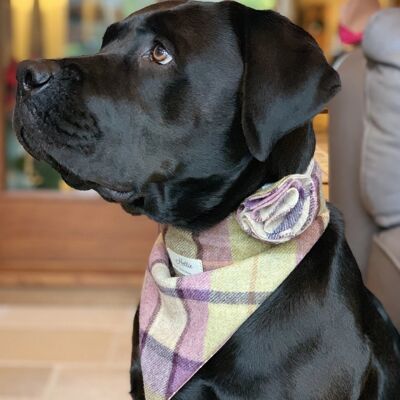 Charlie Dog Bandana - Gargrave Lilac medium