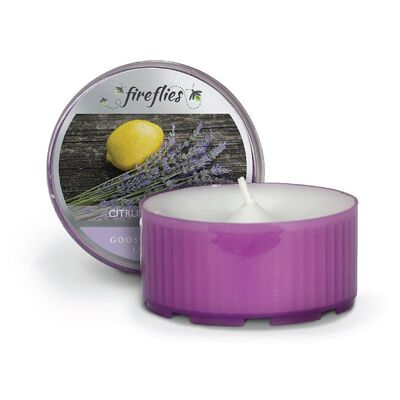 Bougie parfumée Lumignon Citrus Lavender / Lavande & citron par Goose Creek