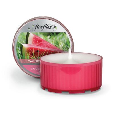 Bougie parfumée Lumignon Watermelon Patch / Part de Pastèque par Goose Creek