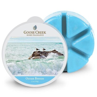 Bougie parfumée Cire Ocean Breeze / Brise de l'océan - Goose Creek