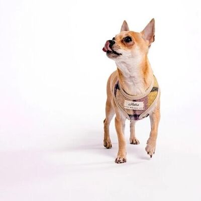 Scooby Dog Harness - Gargrave Lilac small