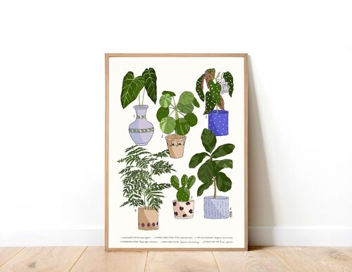 Houseplants 01 A4 Art Print