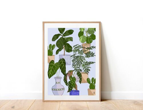 Houseplants 02 A4 Art Print