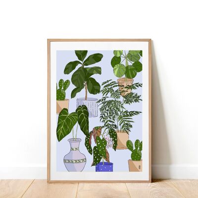 Houseplants 02 A4 Art Print