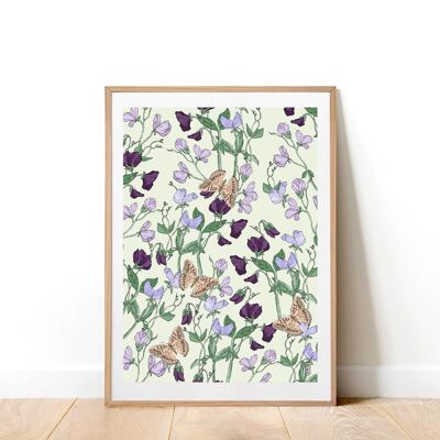Sweetpeas & Butterflies A4 Art Print