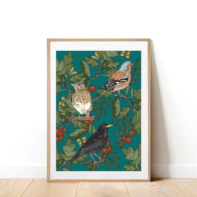 British Birds A5 Art Print