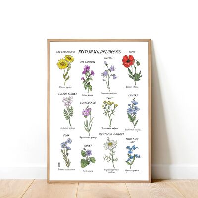 British Wildflowers A3 Art Print