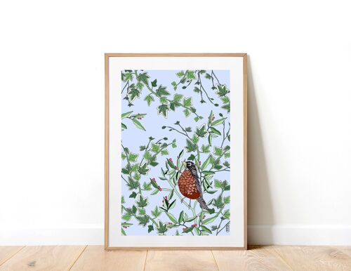 Robin In The Evergreen A3 Art Print