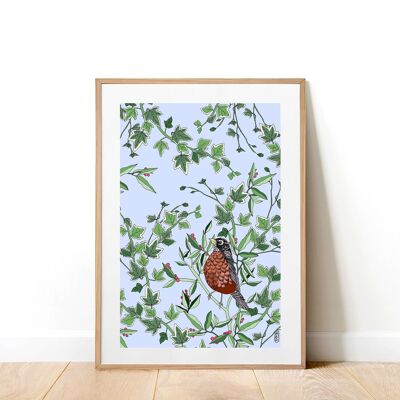 Robin In The Evergreen A3 Art Print