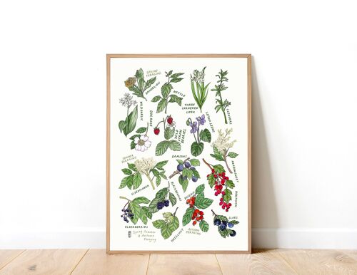 UK Foraging A3 Art Print