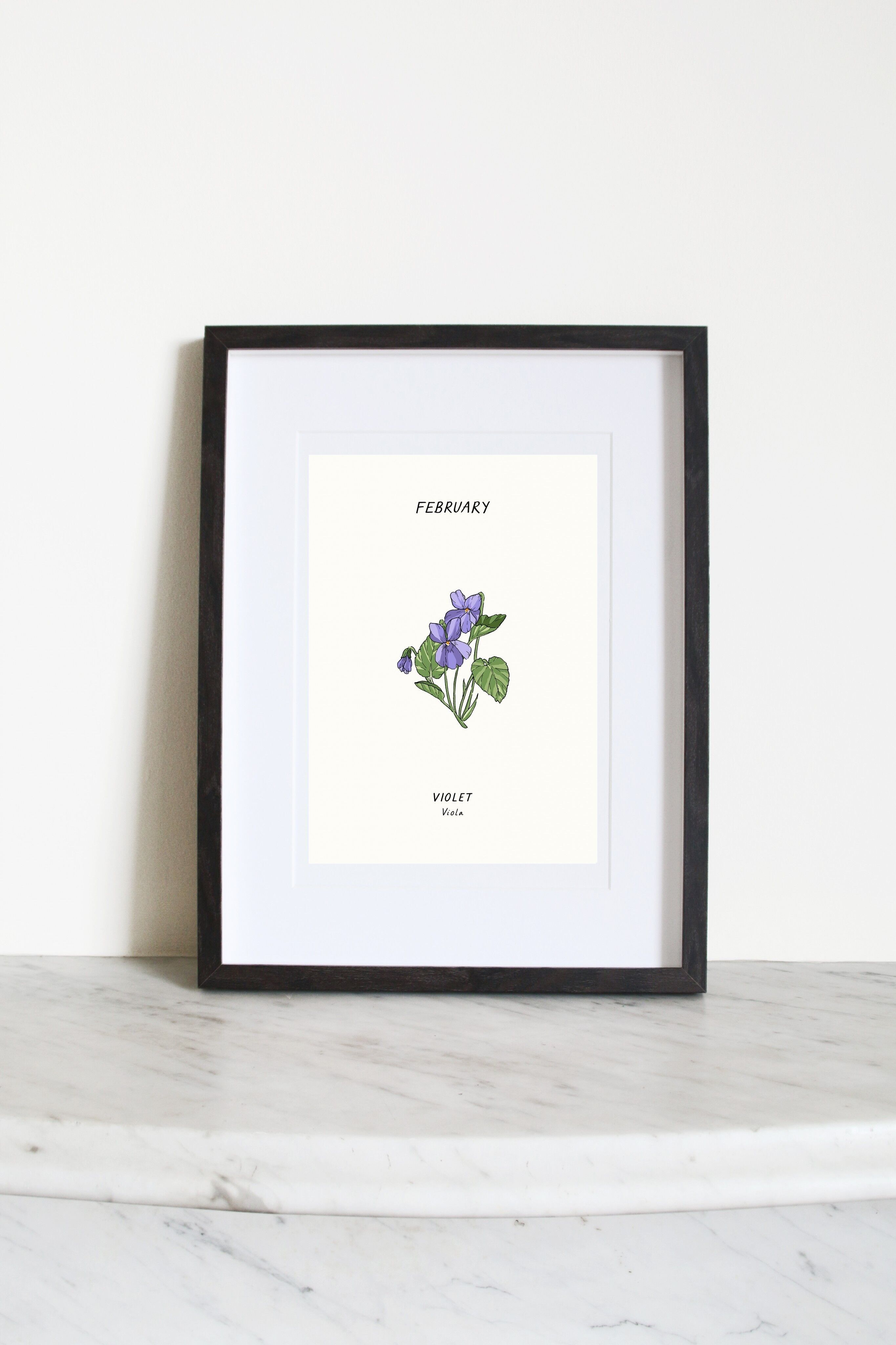 Stampa artistica A3 viola (fiore di nascita di febbraio)