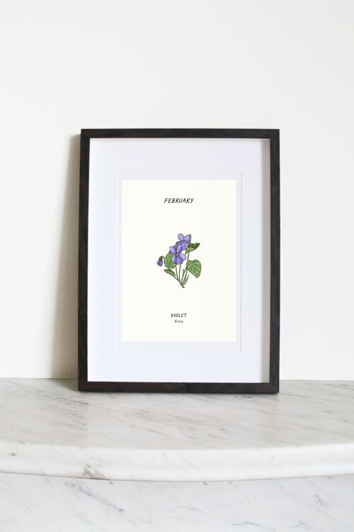 Violet (February Birth Flower) A3 Art Print