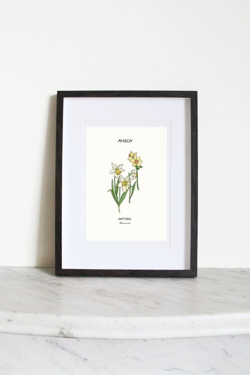 Daffodil (March Birth Flower) A3 Art Print