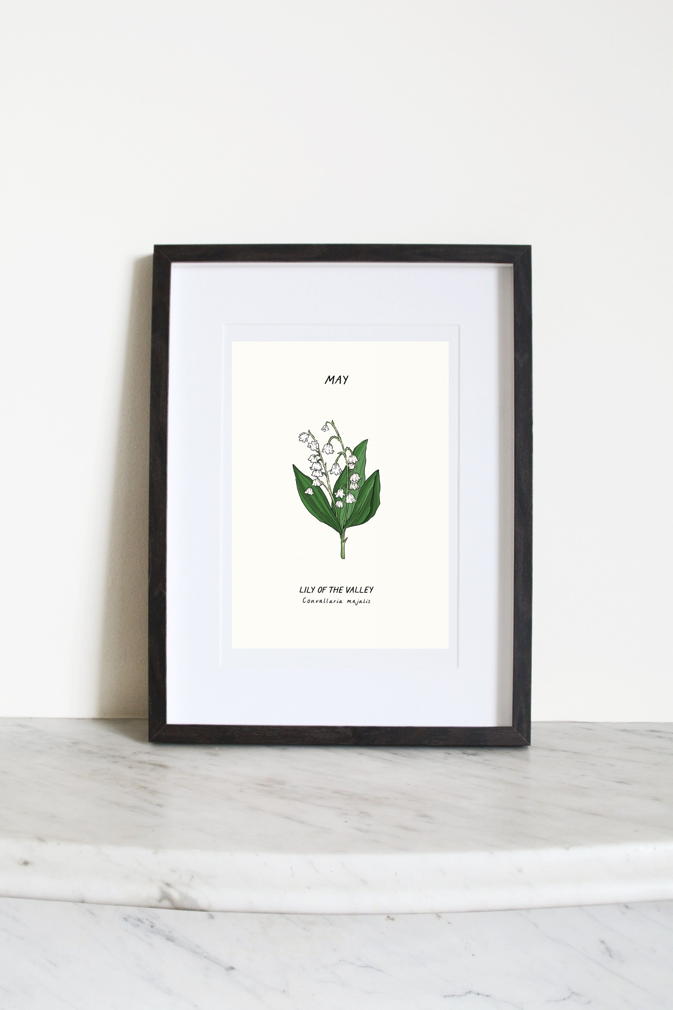 Mughetto (fiore di nascita di maggio) A3 Stampa artistica