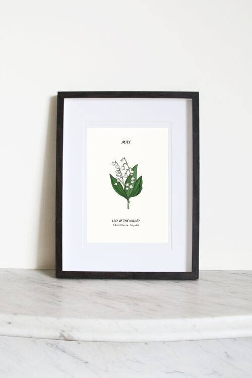 Lily Of The Valley (May Birth Flower) A3 Art Print