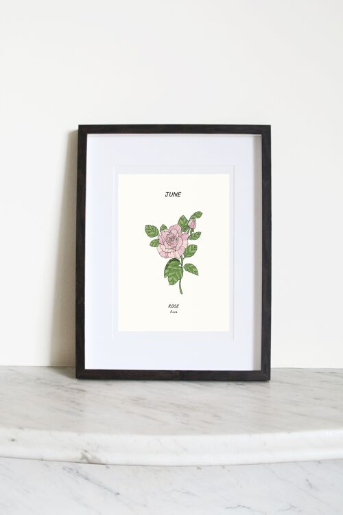 Rose (June Birth Flower) A3 Art Print