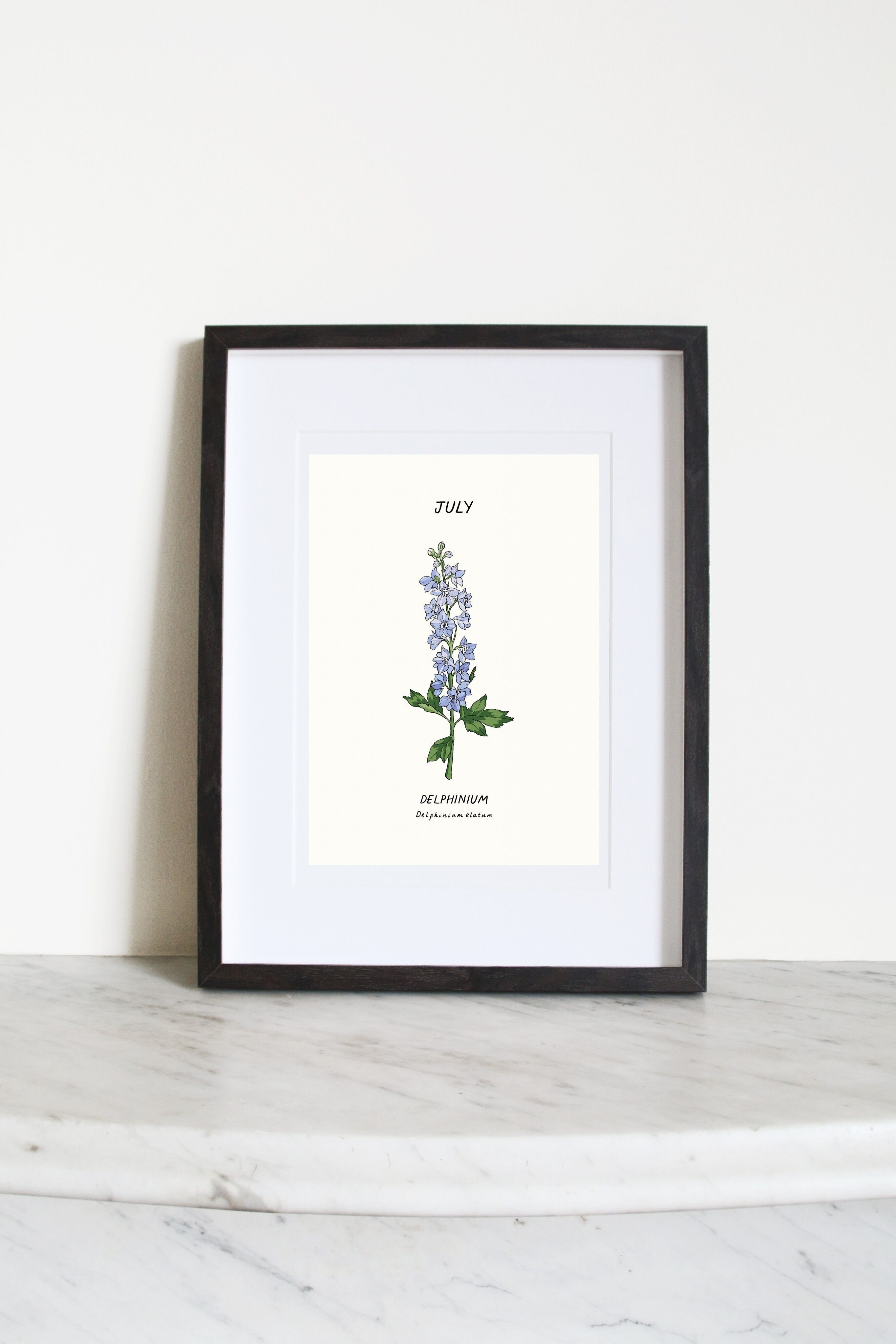 Delphinium (fiore della nascita di luglio) A3 Stampa artistica