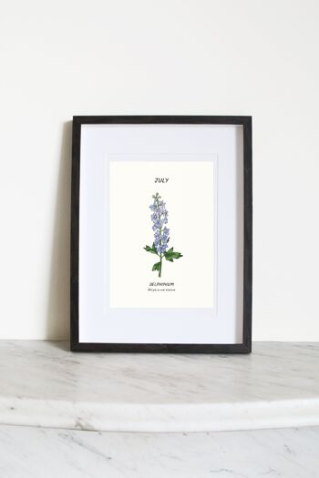 Delphinium (fleur de naissance de juillet) Impression artistique A3 1