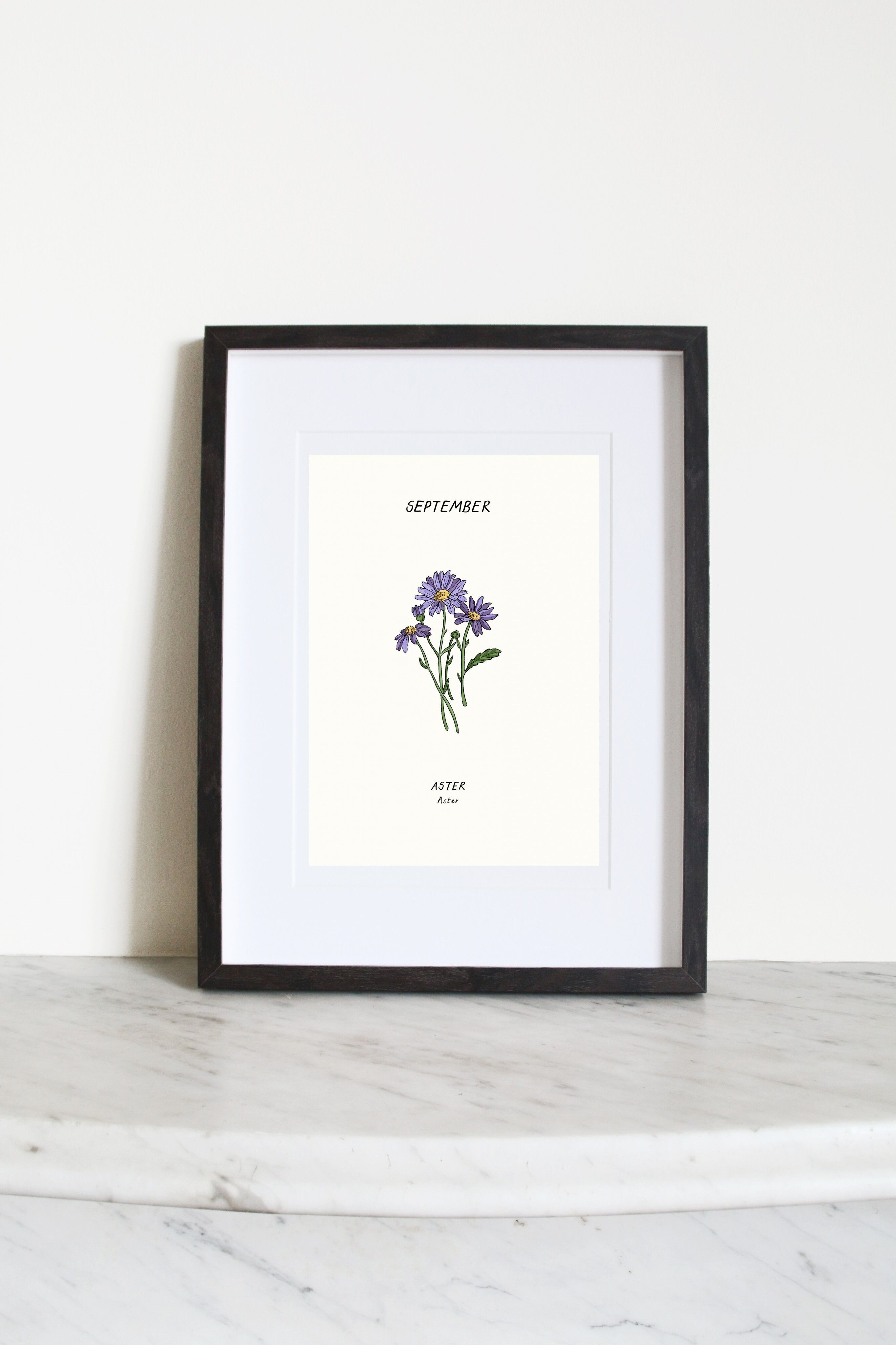 Aster (fiore della nascita di settembre) A3 Art Print