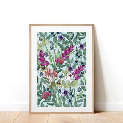 South African Flora A3 Art Print