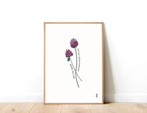 Bristol Onion A3 Art Print