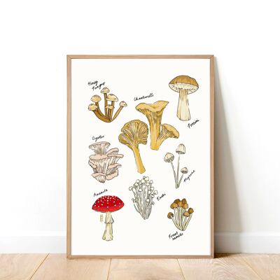 Fête des champignons A3 Impression artistique