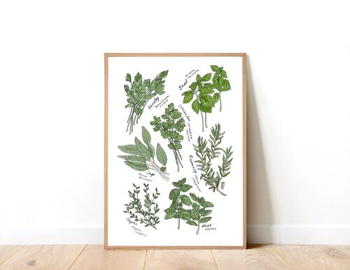 Kitchen Herbs A3 Art Print