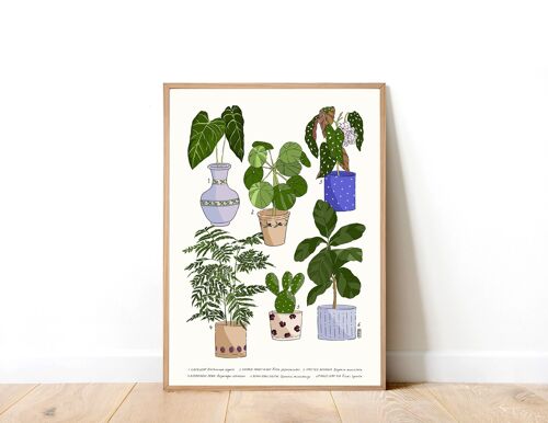 Houseplants 01 A3 Art Print