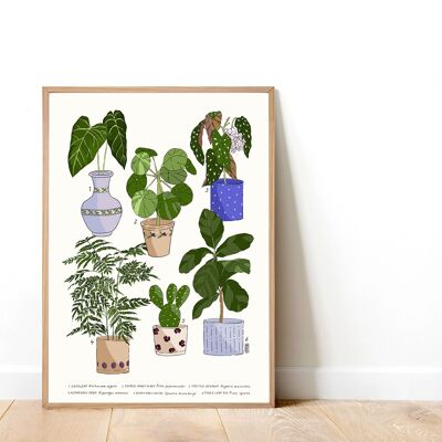 Houseplants 01 A3 Art Print