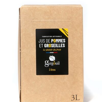 Jus pommes groseilles 3L