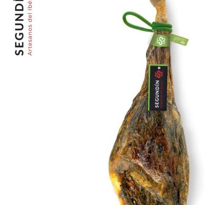 Jamón de Cebo de Campo 50 % Raza Ibérica Segundín I