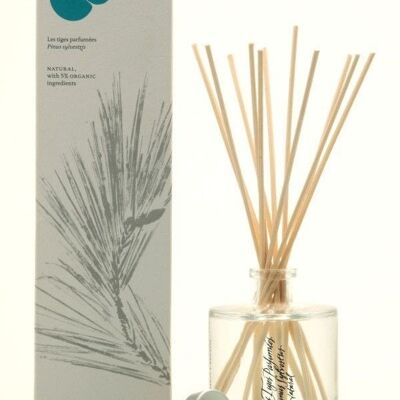 AMBIENTADOR MIKADO PINUS SYLVESTRIS 100 ml