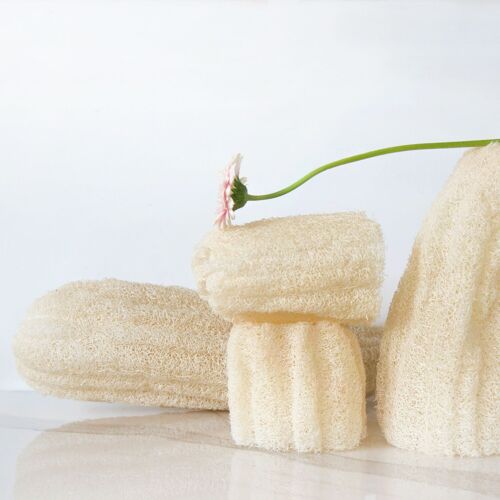 Loofah brut | Luffa - 4 tailles au choix