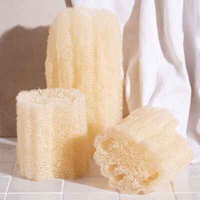 Raw Loofah | Loofah - 4 sizes to choose from
