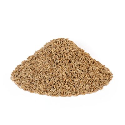 Cumino Biologico - Grani - 100g