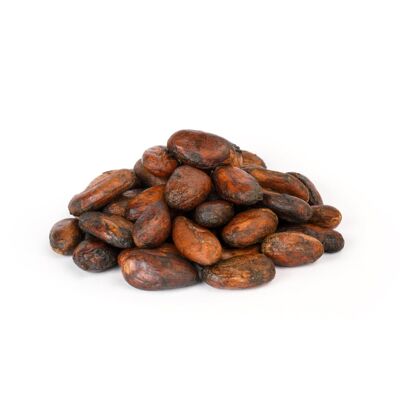 Granos de cacao orgánico - enteros crudos secos - 100g