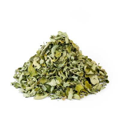 Moringa Bio - Foglie - 20g