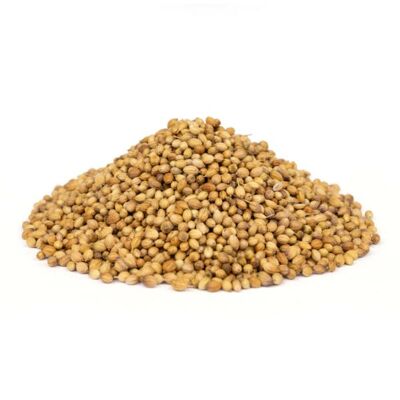 Organic Indian Coriander - 25g