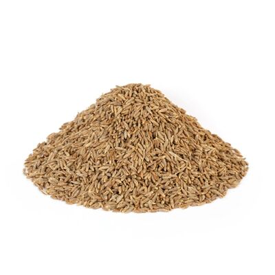 Organic cumin - Grains - Bulk - 500g