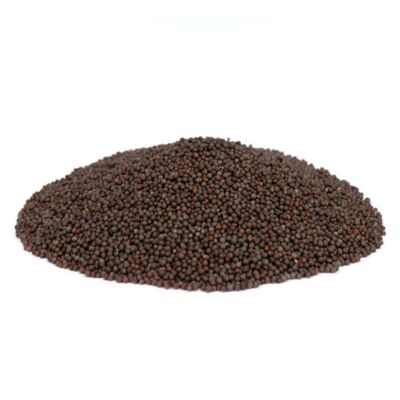 Mostaza negra ecológica - A granel - 500g