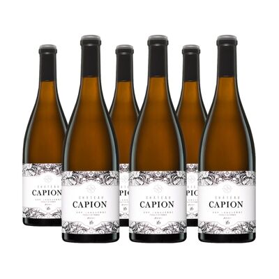 Chateau Capion Blanc 2016 6 * 75cl