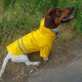 Imperméable pour chien avec reflet. Petits et moyens chiens - Jaune 2