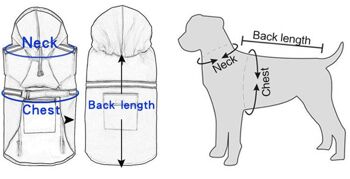 Imperméable pour chien avec reflet. Petits et moyens chiens - Jaune 4