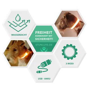 Collier LED de sécurité et lumineux pour chien, rechargeable, 3 modes, longueur réglable, 100% étanche - vert 3