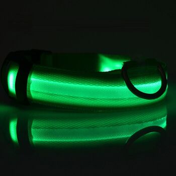 Collier LED de sécurité et lumineux pour chien, rechargeable, 3 modes, longueur réglable, 100% étanche - vert 5