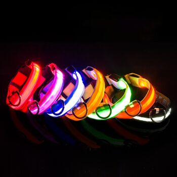 Collier LED de sécurité et lumineux pour chien, rechargeable, 3 modes, longueur réglable, 100% étanche - orange 2