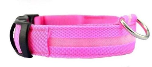 Hunde LED Sicherheits- & Leuchthalsband für Hunde Aufladbar, 3 Modi, Einstellbare Länge, 100% Wasserdicht - Pink