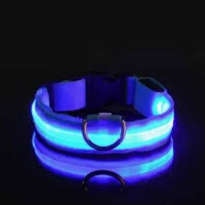 Collier LED de sécurité & lumineux pour chien, rechargeable, 3 modes, longueur réglable, 100% étanche - bleu