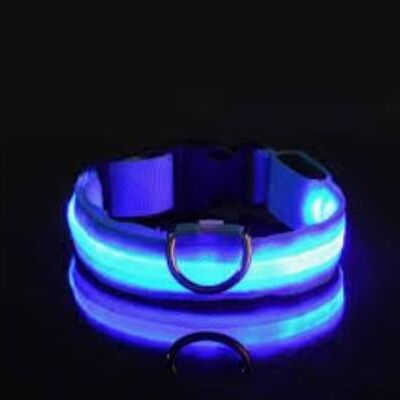 Collare per cani di sicurezza LED e luminoso per cani, ricaricabile, 3 modalità, lunghezza regolabile, 100% impermeabile - blu